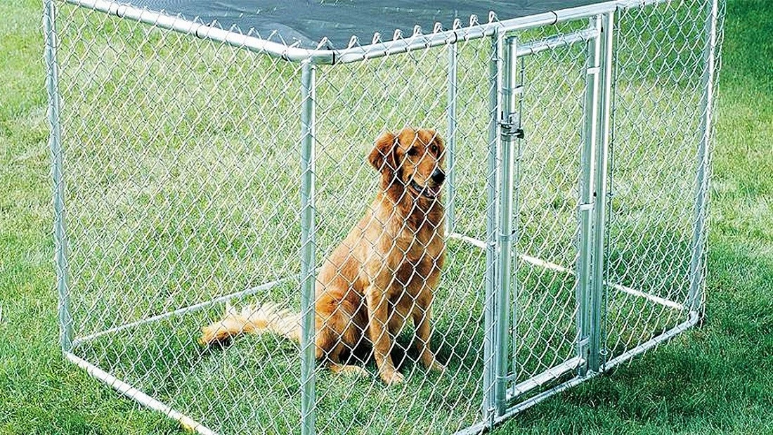 China chainlink panels for dogs China chainlink panels for dogs