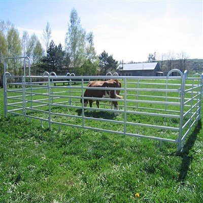 Panel lembu galvanized